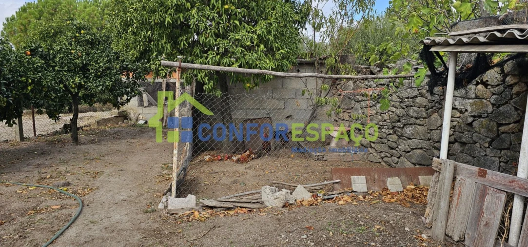 Terreno para Venda em Alcains Foto 3