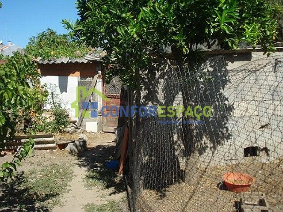 Terreno para Venda em Alcains Foto 9