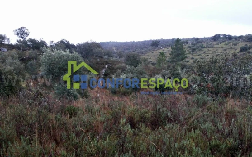 Terreno para Venda em Escalos de Baixo e Mata Foto 5