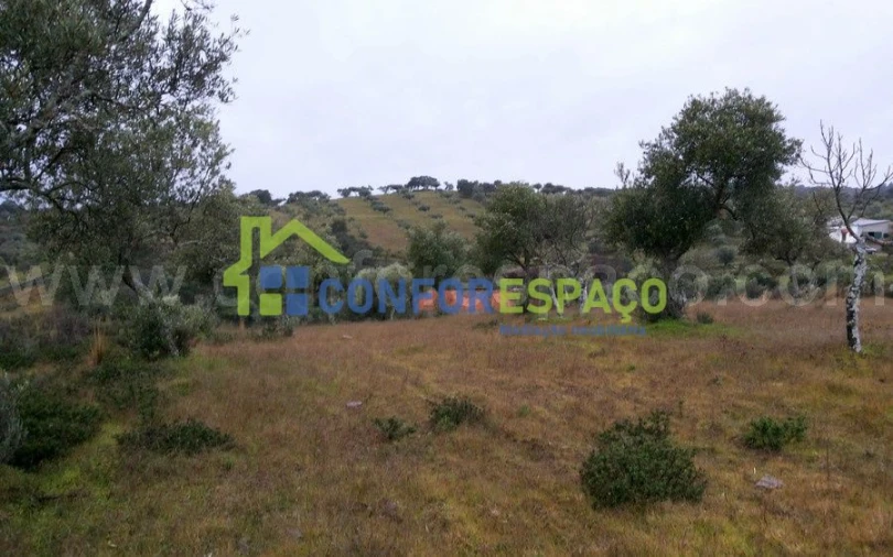 Terreno para Venda em Escalos de Baixo e Mata Foto 1