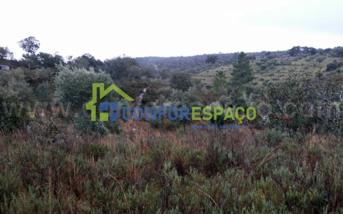 Terreno para Venda em Escalos de Baixo e Mata Foto 5