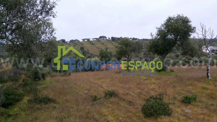 Terreno para Venda em Escalos de Baixo e Mata