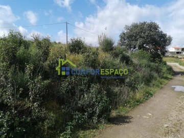 Terreno para Venda em Salgueiro do Campo