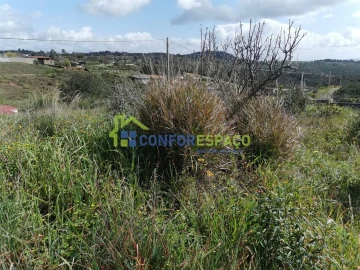 Terreno para Venda em Salgueiro do Campo