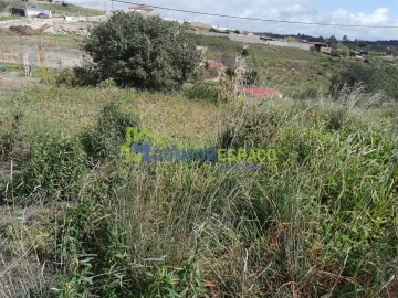 Terreno para Venda em Salgueiro do Campo
