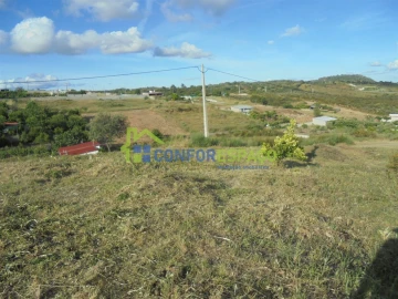 Terreno para Venda em Salgueiro do Campo