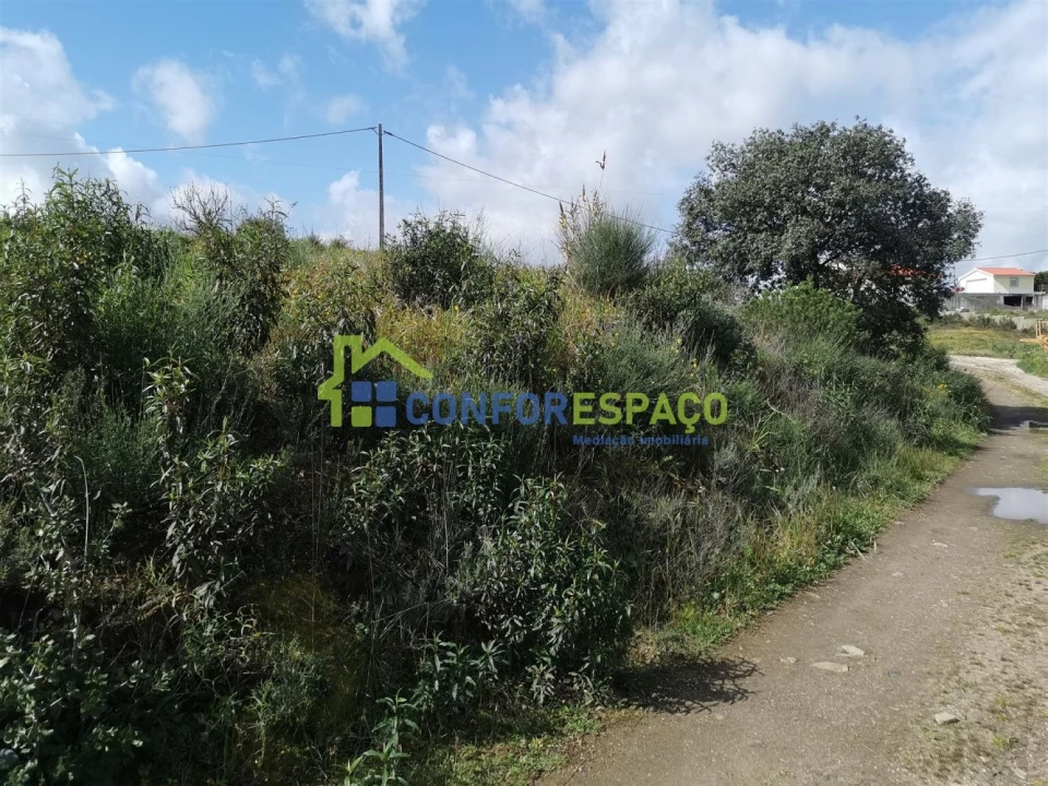 Terreno para Venda em Salgueiro do Campo Foto 17