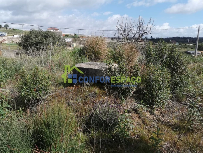 Terreno para Venda em Salgueiro do Campo Foto 13