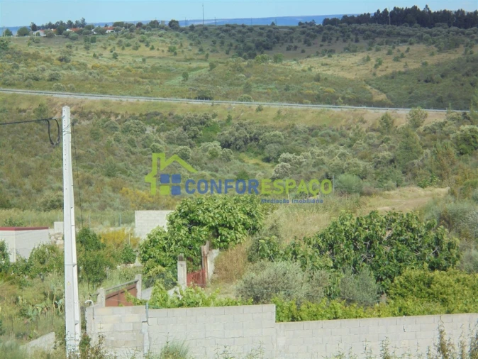 Terreno para Venda em Salgueiro do Campo Foto 11
