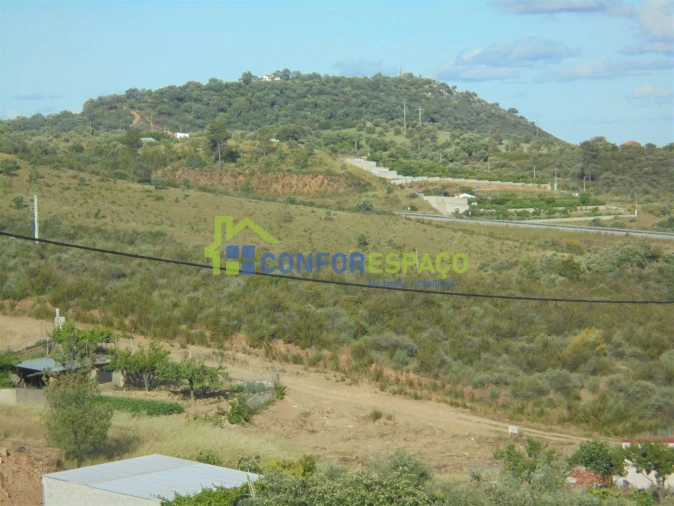 Terreno para Venda em Salgueiro do Campo Foto 2