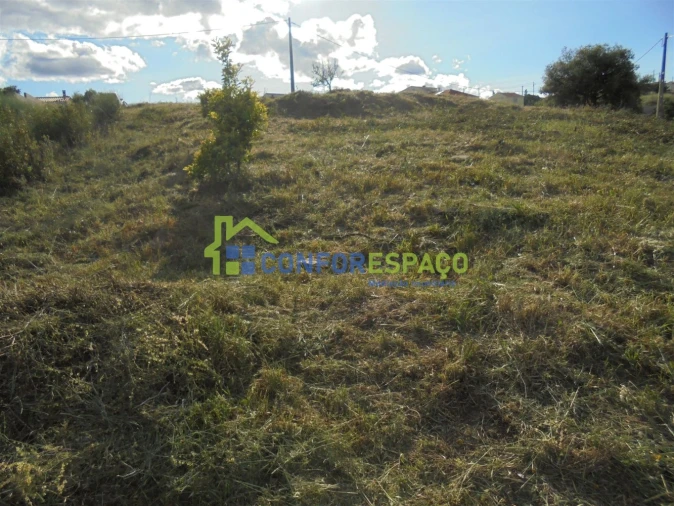Terreno para Venda em Salgueiro do Campo Foto 9