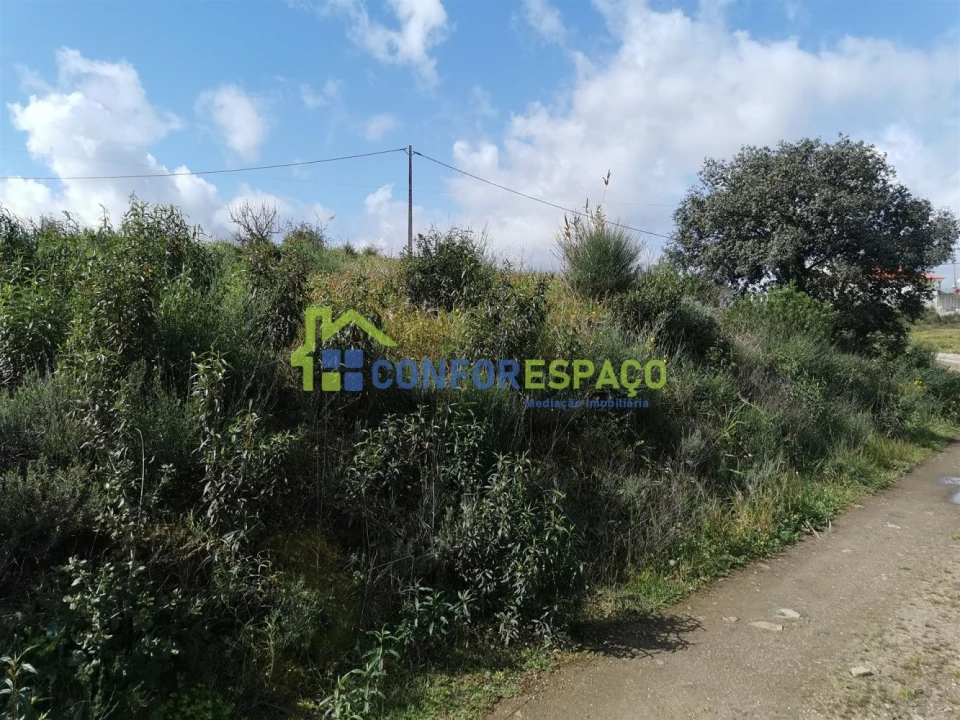 Terreno para Venda em Salgueiro do Campo Foto 18
