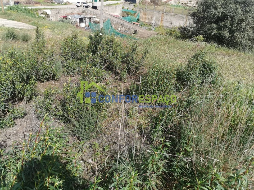 Terreno para Venda em Salgueiro do Campo Foto 15