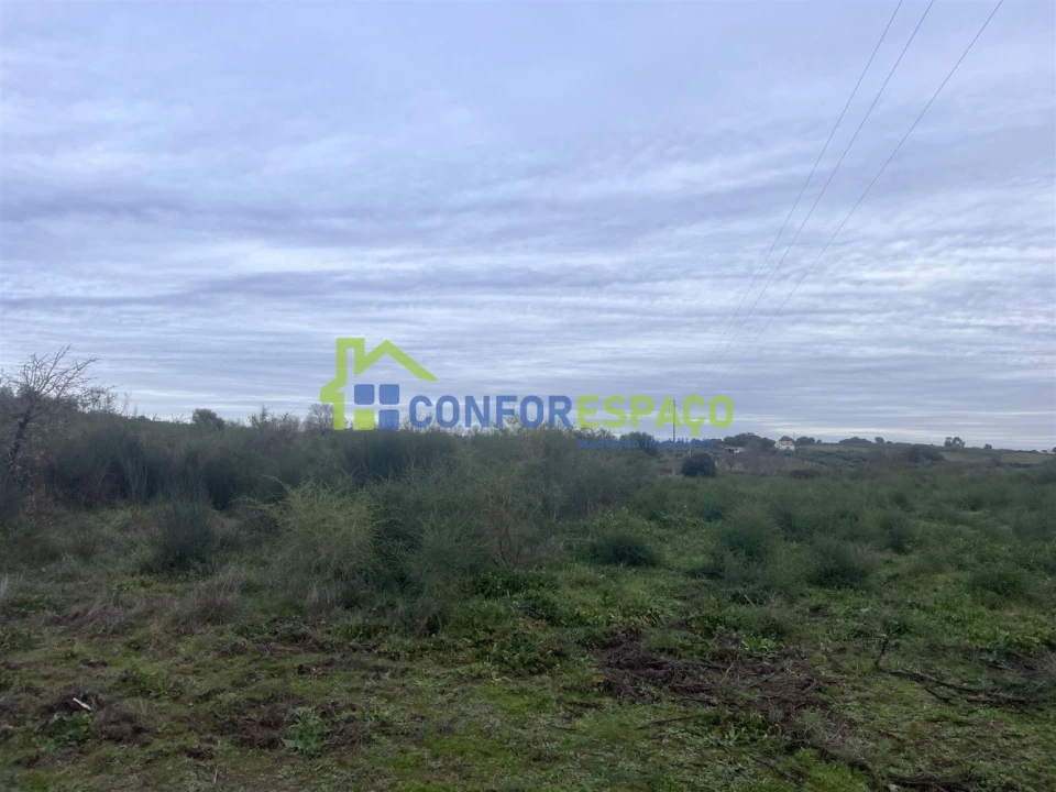 Terreno para Venda em Castelo Branco Foto 18