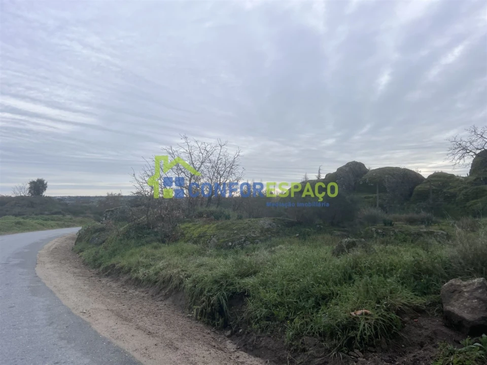 Terreno para Venda em Castelo Branco Foto 5