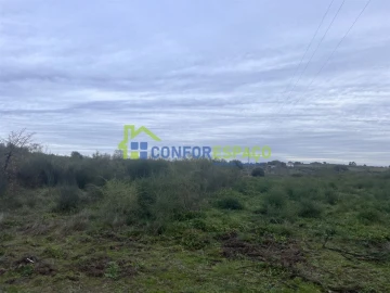 Terreno para Venda em Castelo Branco