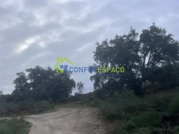 Terreno para Venda em Castelo Branco