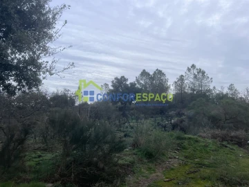 Terreno para Venda em Castelo Branco