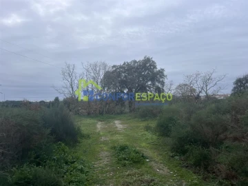 Terreno para Venda em Castelo Branco