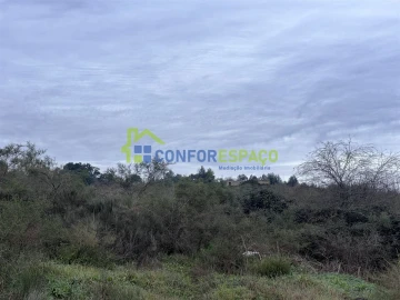 Terreno para Venda em Castelo Branco