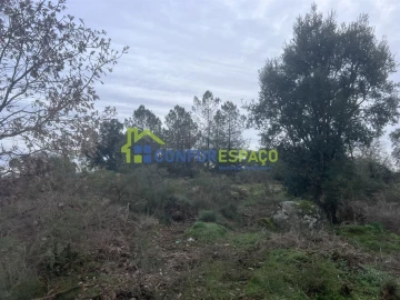 Terreno para Venda em Castelo Branco