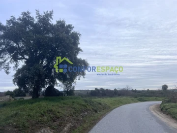 Terreno para Venda em Castelo Branco
