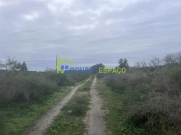 Terreno para Venda em Castelo Branco