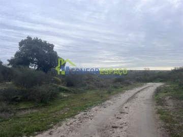 Terreno para Venda em Castelo Branco