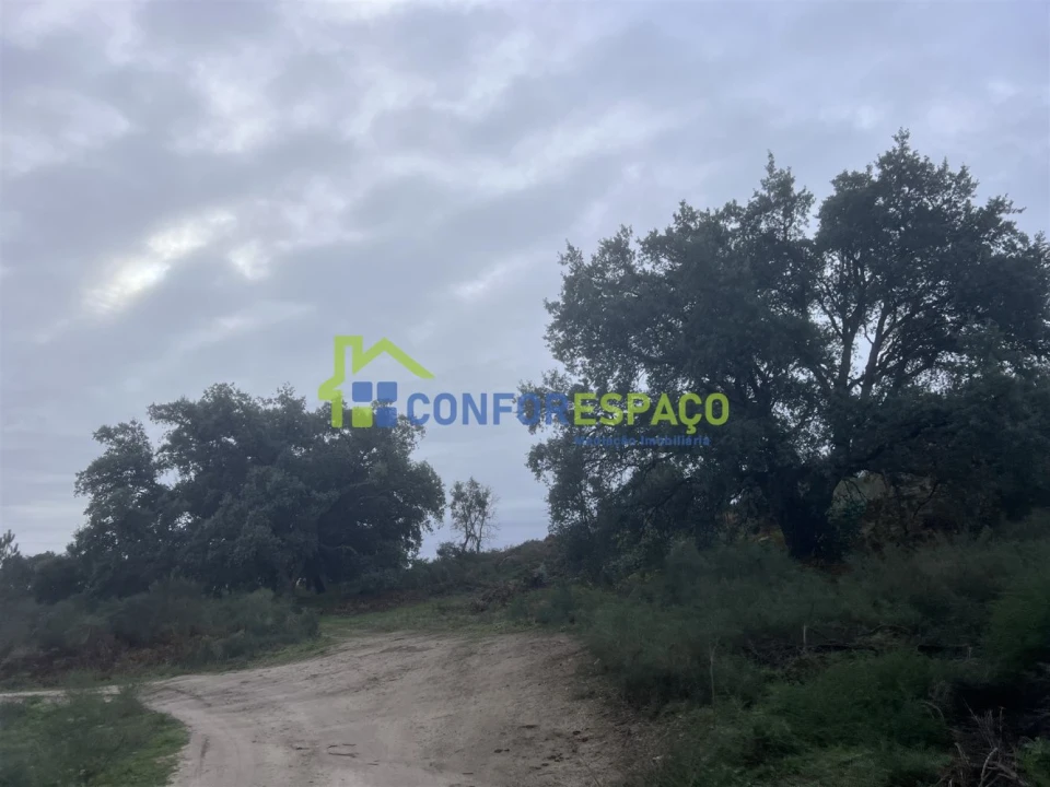 Terreno para Venda em Castelo Branco Foto 10