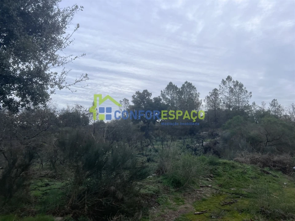 Terreno para Venda em Castelo Branco Foto 8
