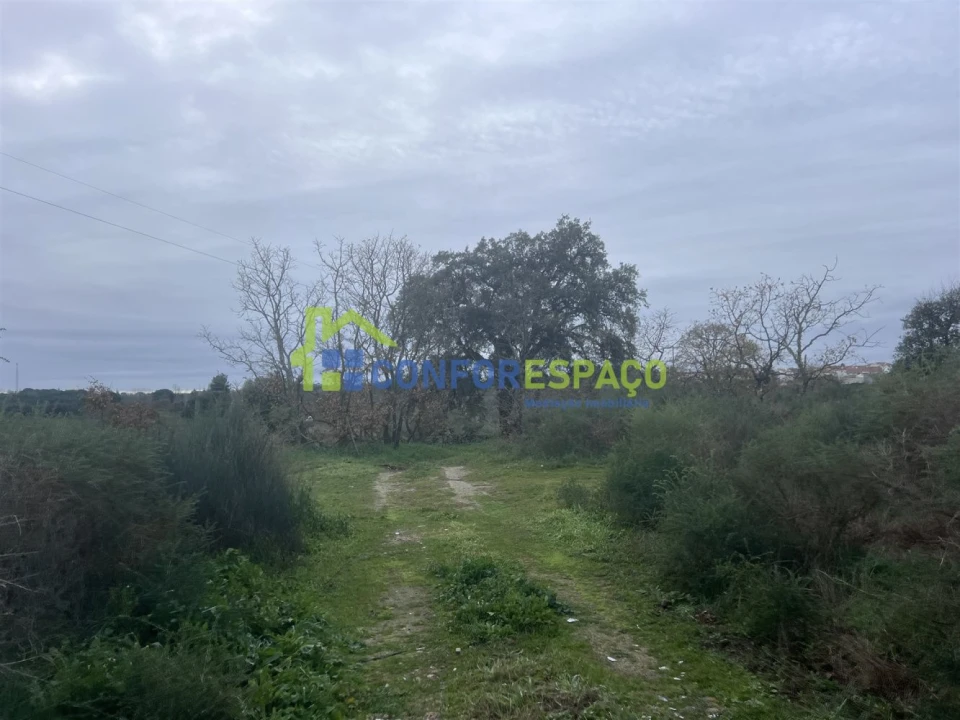 Terreno para Venda em Castelo Branco Foto 15