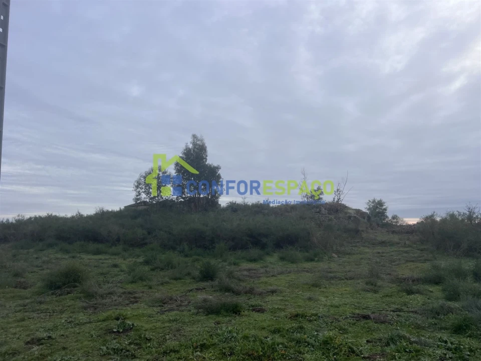 Terreno para Venda em Castelo Branco Foto 17