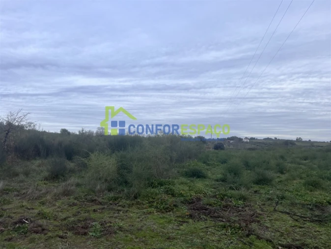 Terreno para Venda em Castelo Branco Foto 18