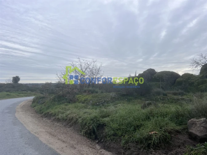 Terreno para Venda em Castelo Branco Foto 5