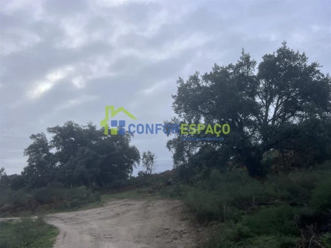 Terreno para Venda em Castelo Branco Foto 10
