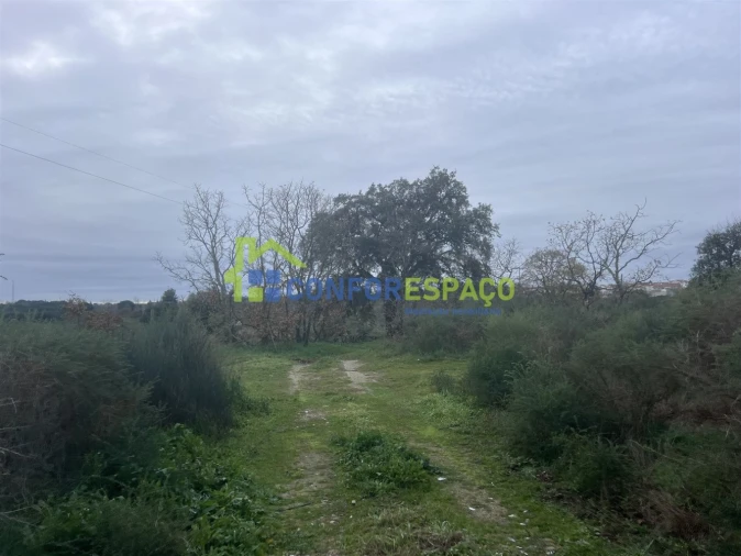 Terreno para Venda em Castelo Branco Foto 15