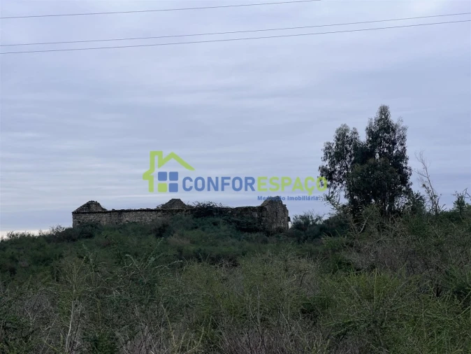 Terreno para Venda em Castelo Branco Foto 3