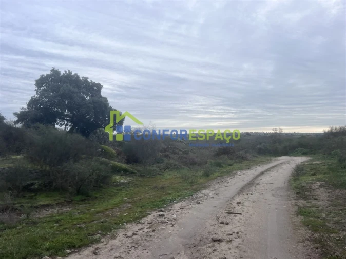 Terreno para Venda em Castelo Branco Foto 11