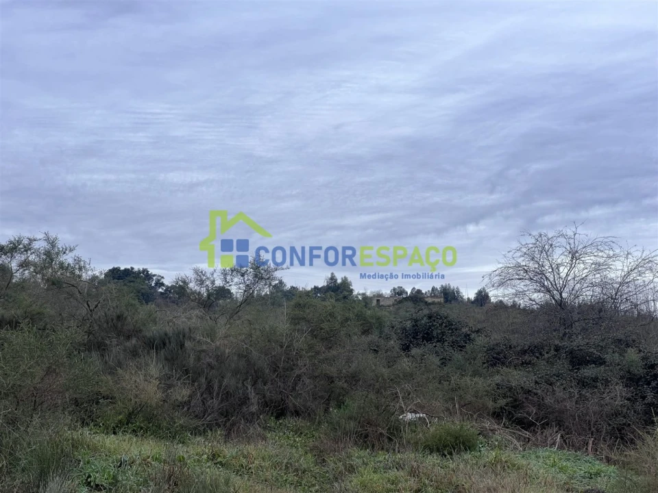 Terreno para Venda em Castelo Branco Foto 2