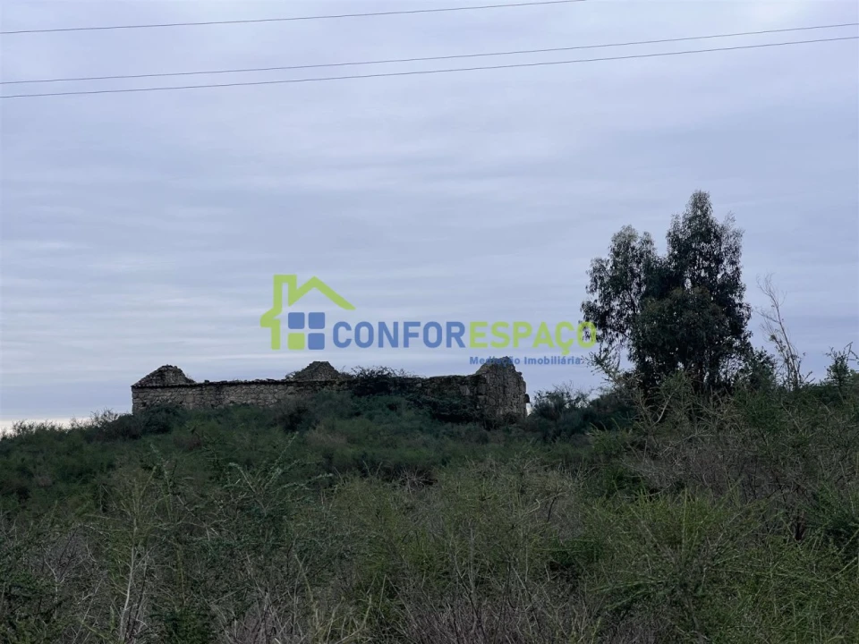 Terreno para Venda em Castelo Branco Foto 3