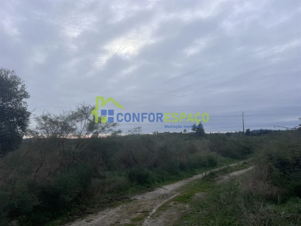 Terreno para Venda em Castelo Branco Foto 13