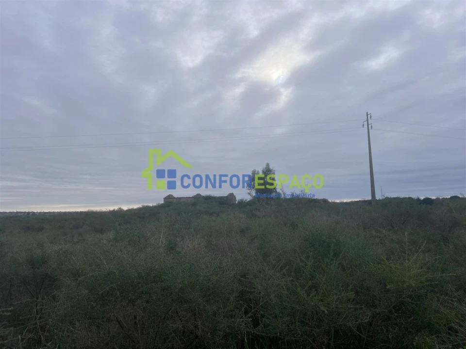 Terreno para Venda em Castelo Branco Foto 14