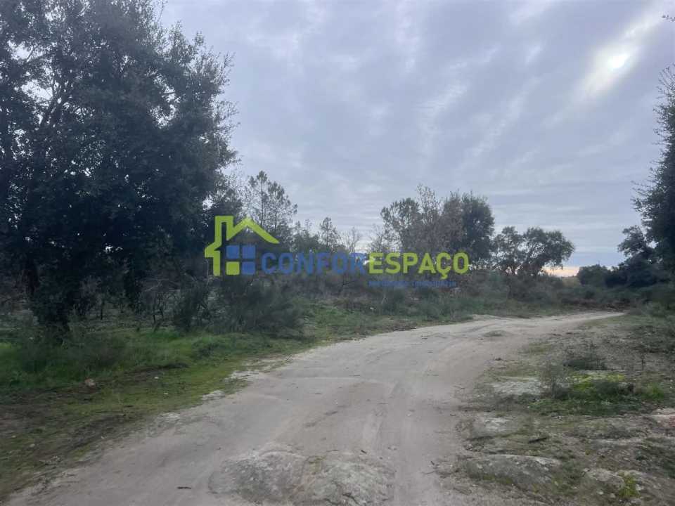 Terreno para Venda em Castelo Branco Foto 7