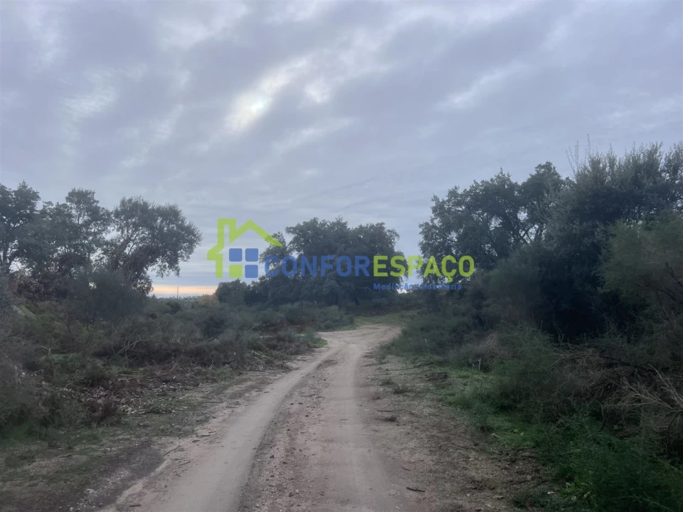 Terreno para Venda em Castelo Branco Foto 9