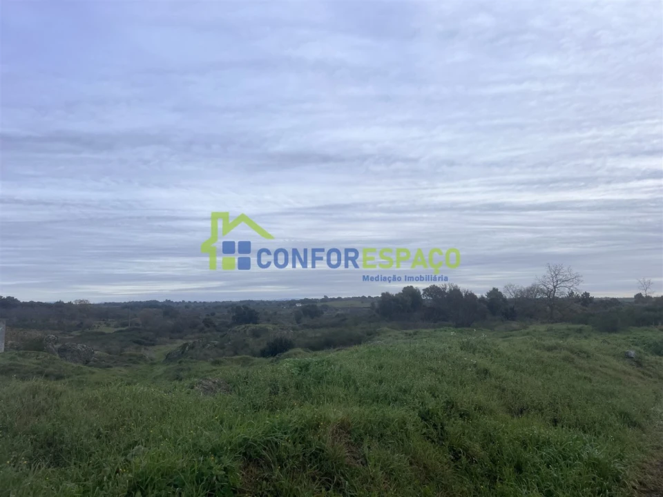 Terreno para Venda em Castelo Branco Foto 6