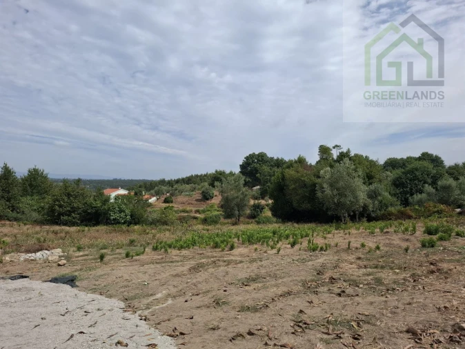 Moradia T3 para Venda em Ázere e Covelo Foto 24