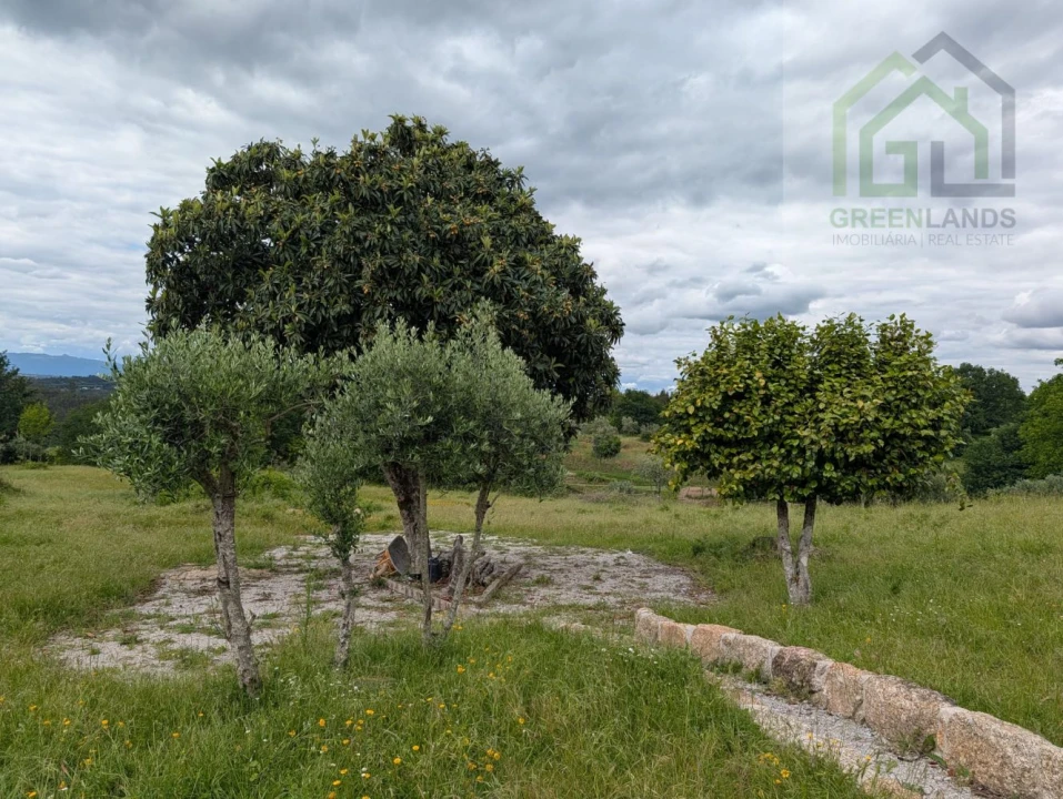 Moradia T3 para Venda em Ázere e Covelo Foto 62