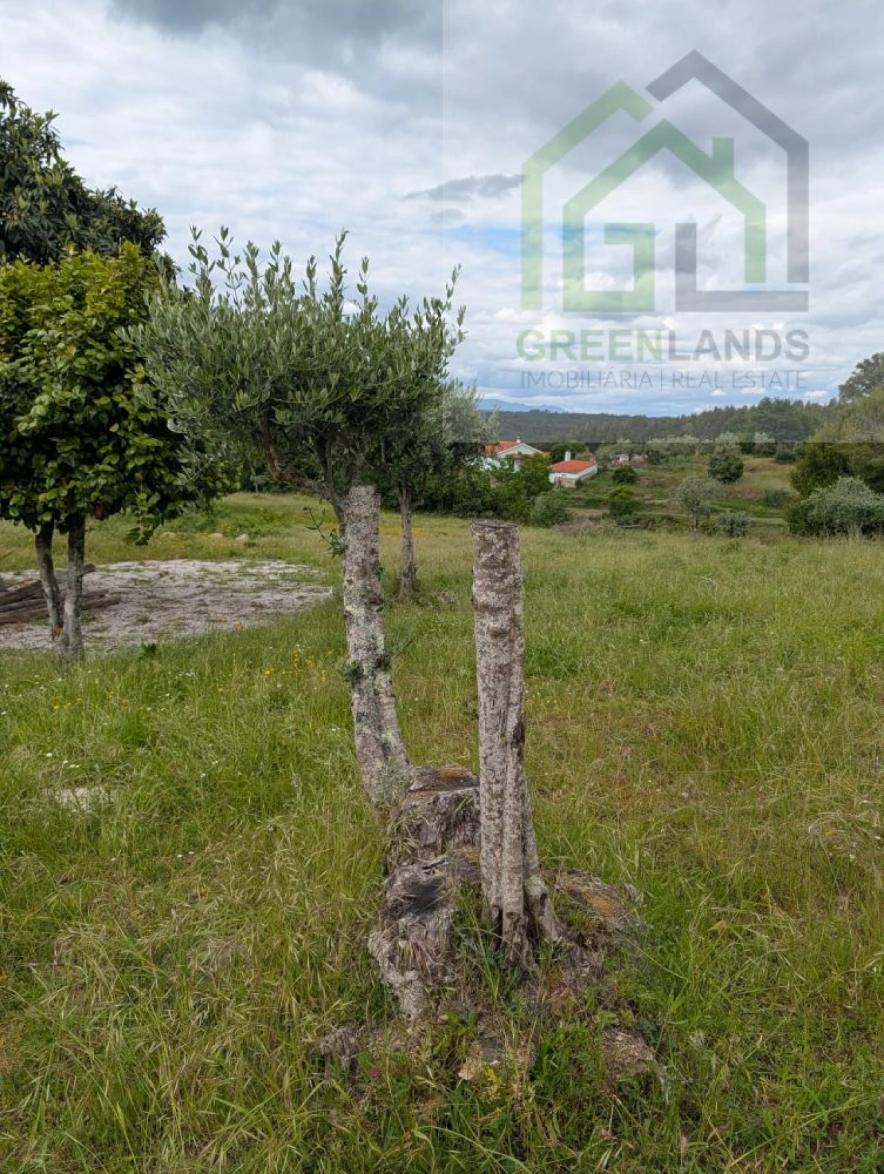 Moradia T3 para Venda em Ázere e Covelo Foto 61