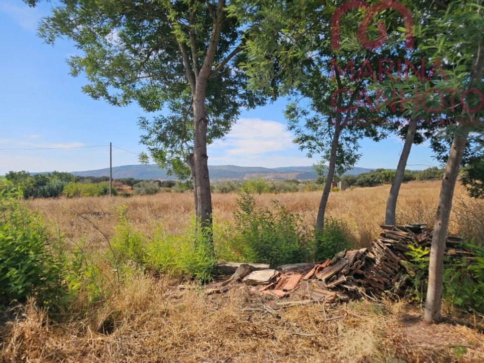 Quinta T2 para Venda em Rio de Moinhos Foto 27