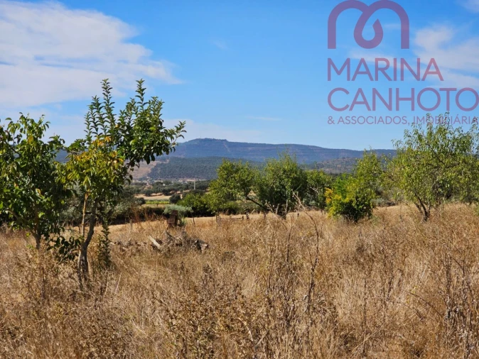 Quinta T2 para Venda em Rio de Moinhos Foto 28